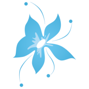 Forget Me Not Flowers & Gifts