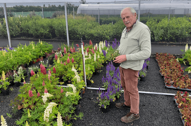 Bill Madden Nursery