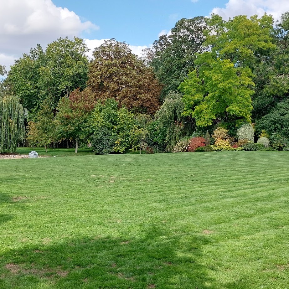 Greyabbey Landscapes & Tree Surgery