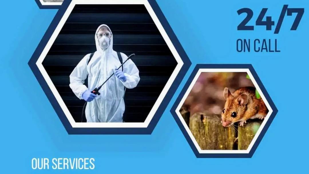 PDSE Pest Control Services