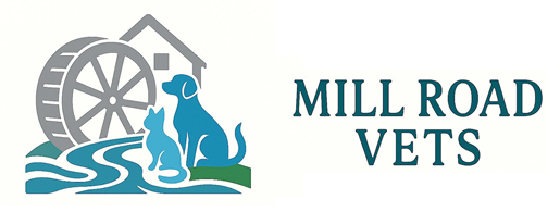Mill Road Vets