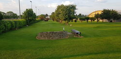 Old County Pitch & Putt Club