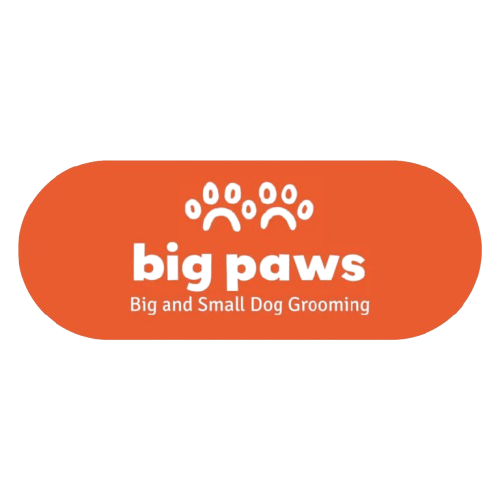 Big Paws Dog Grooming