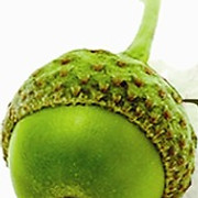 Acorn Financial Services