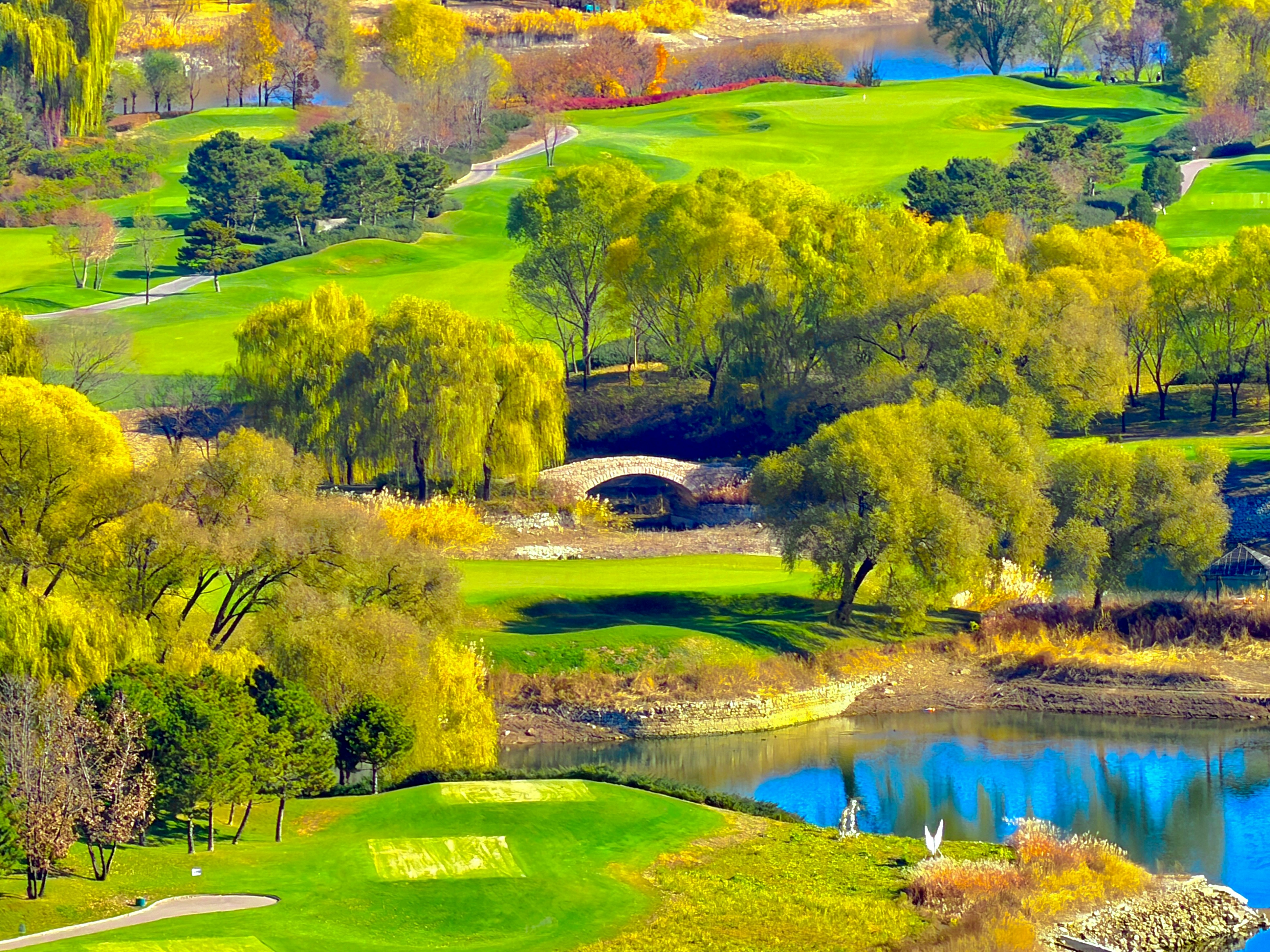 Tee Time Travel