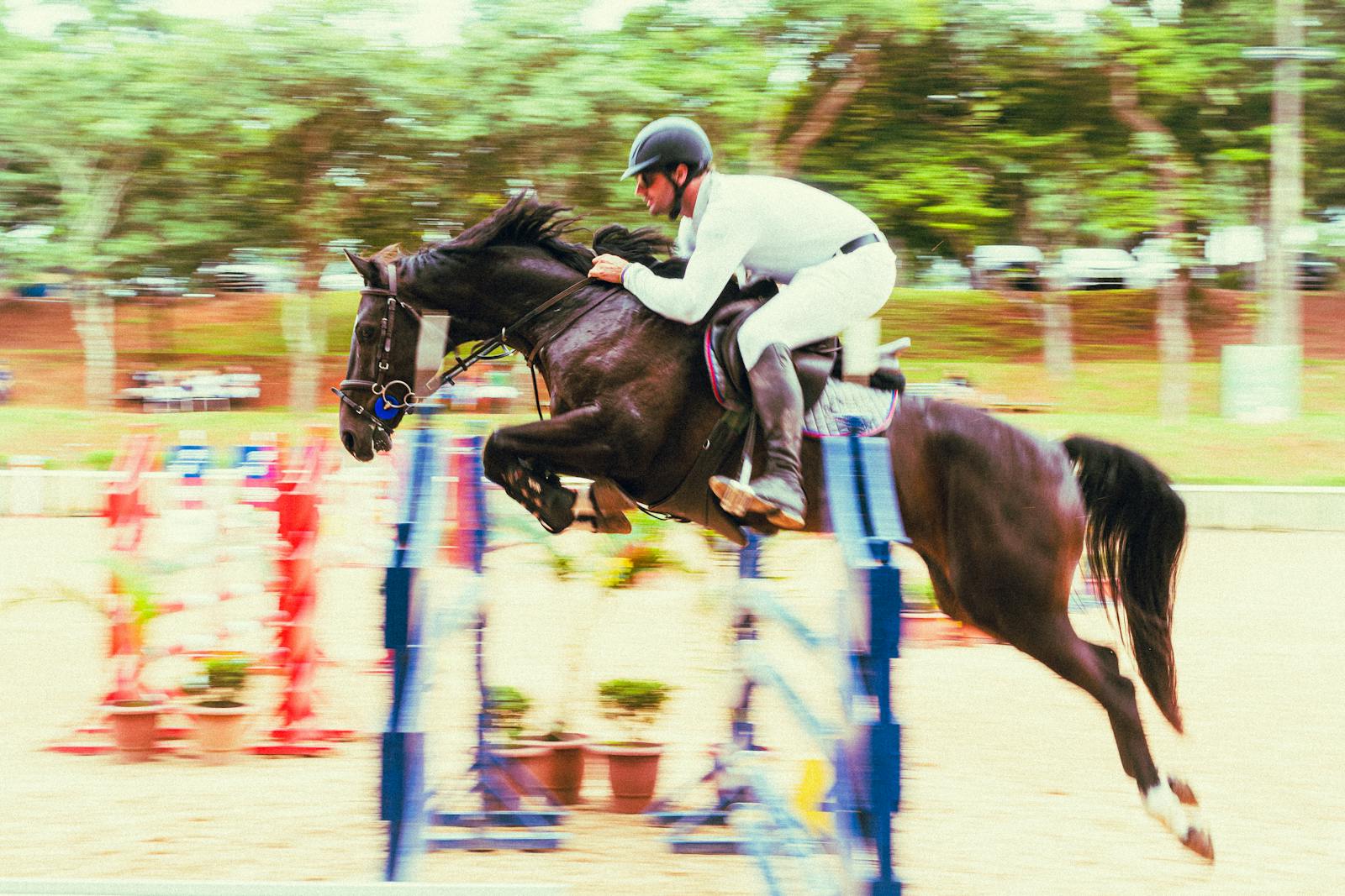 Equus Innovation