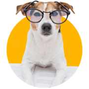 The Business Success Hub