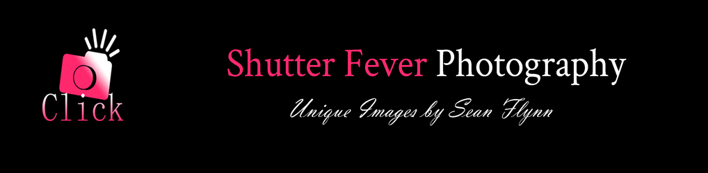 Shutter Fever Photography