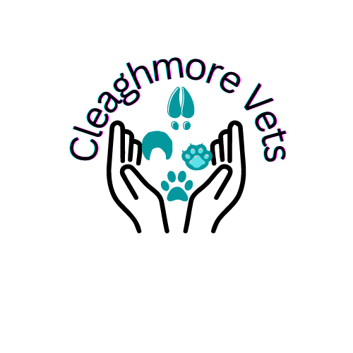 Cleaghmore Vets [Cleaghmore Veterinary Practice]