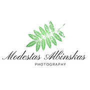 Albinskas.com/wedding/photographer