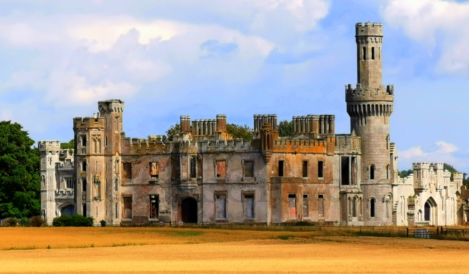 Duckett's Grove