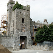 Drimnagh Medieval Castle and Gardens