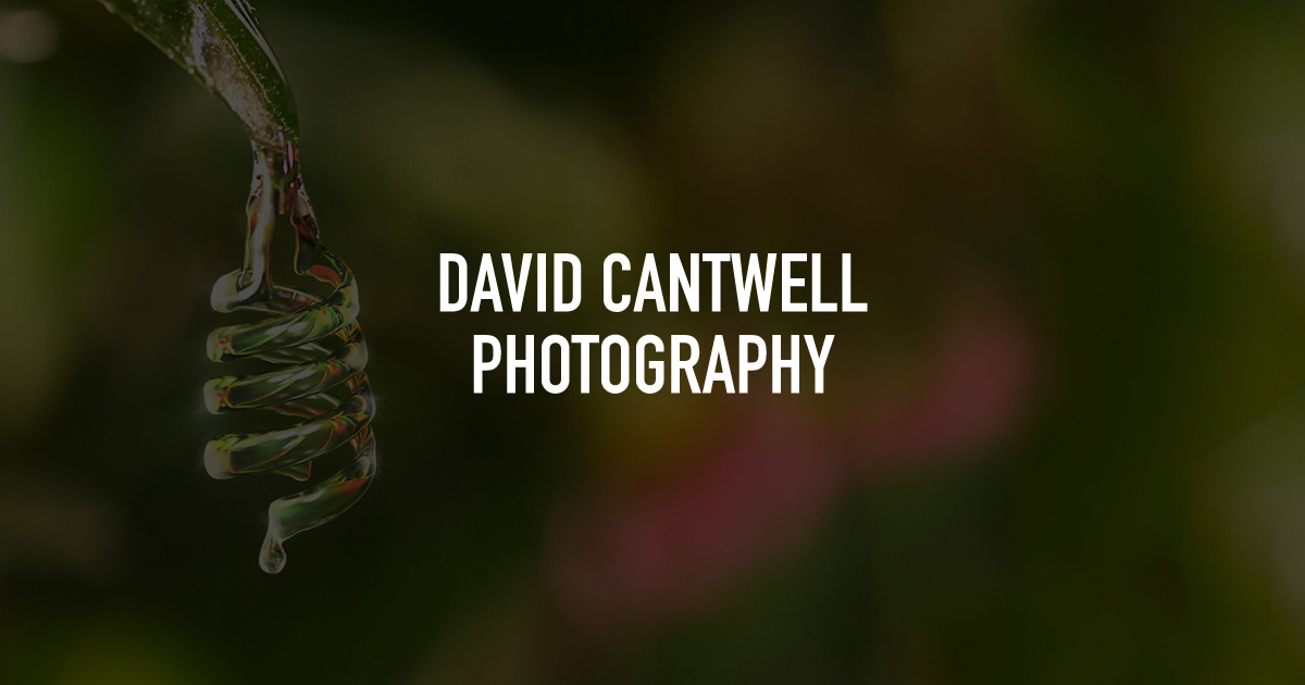 David Cantwell Photography