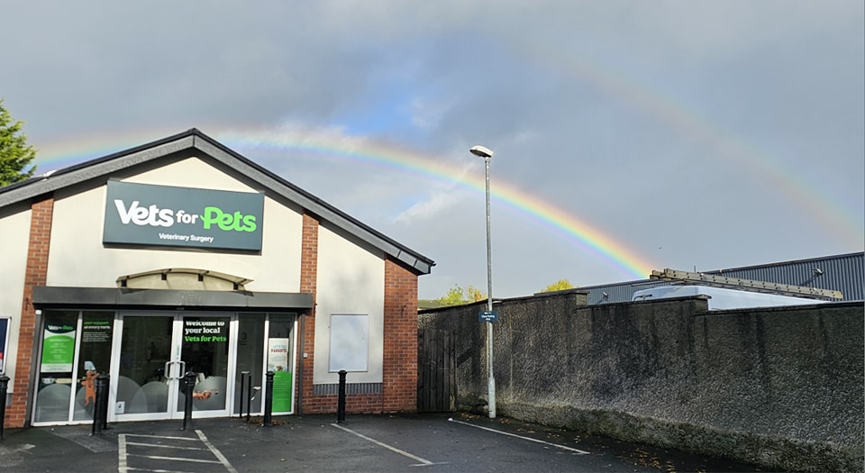 Vets for Pets - Lisburn Longstone