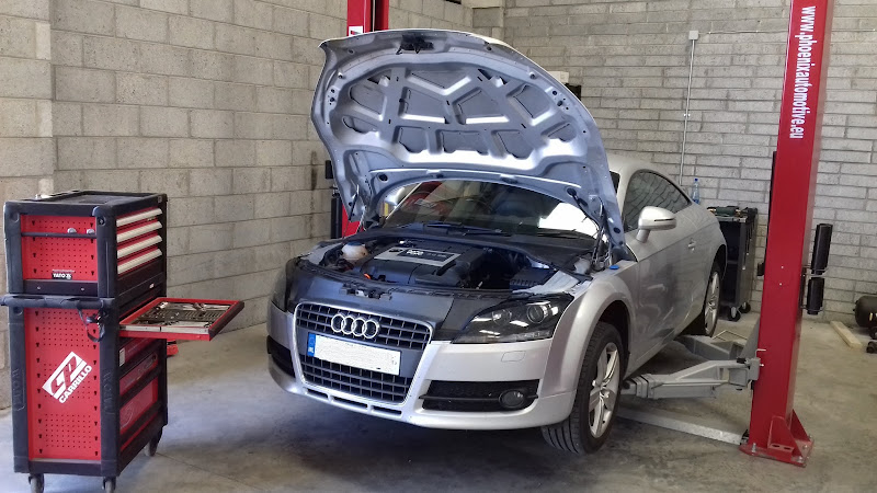 Automotive Performance Garage
