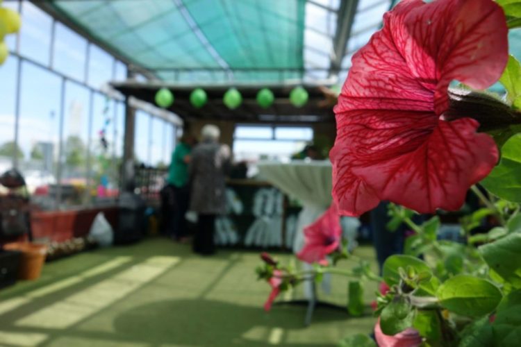 Dundalk Garden Centre