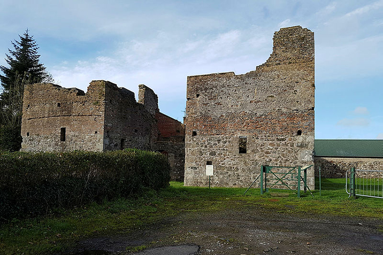 Mountjoy Castle (State Care Monument)