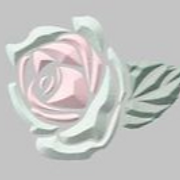 Kanes Florist logo