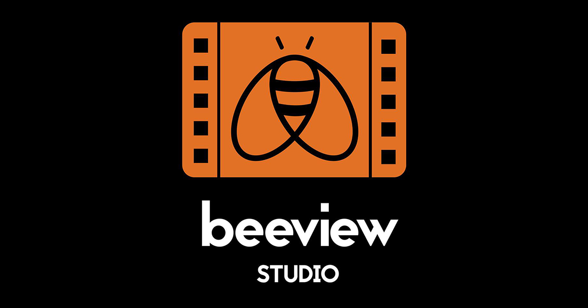 Beeviewstudio.ie videography