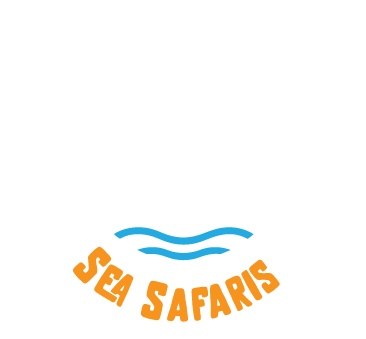 Dublin Bay Sea Safaris (Dun Laoghaire)