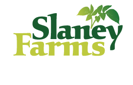 Slaney Farms Produce Limited