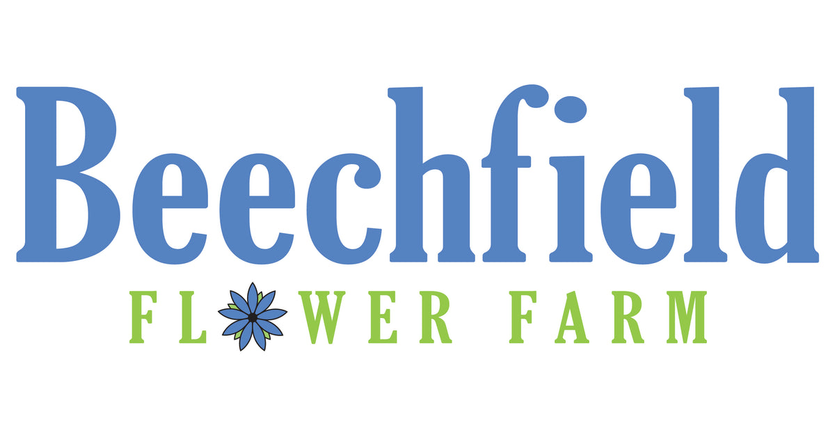 Beechfield Flower Farm