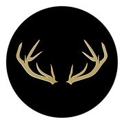 Stagforge Ltd