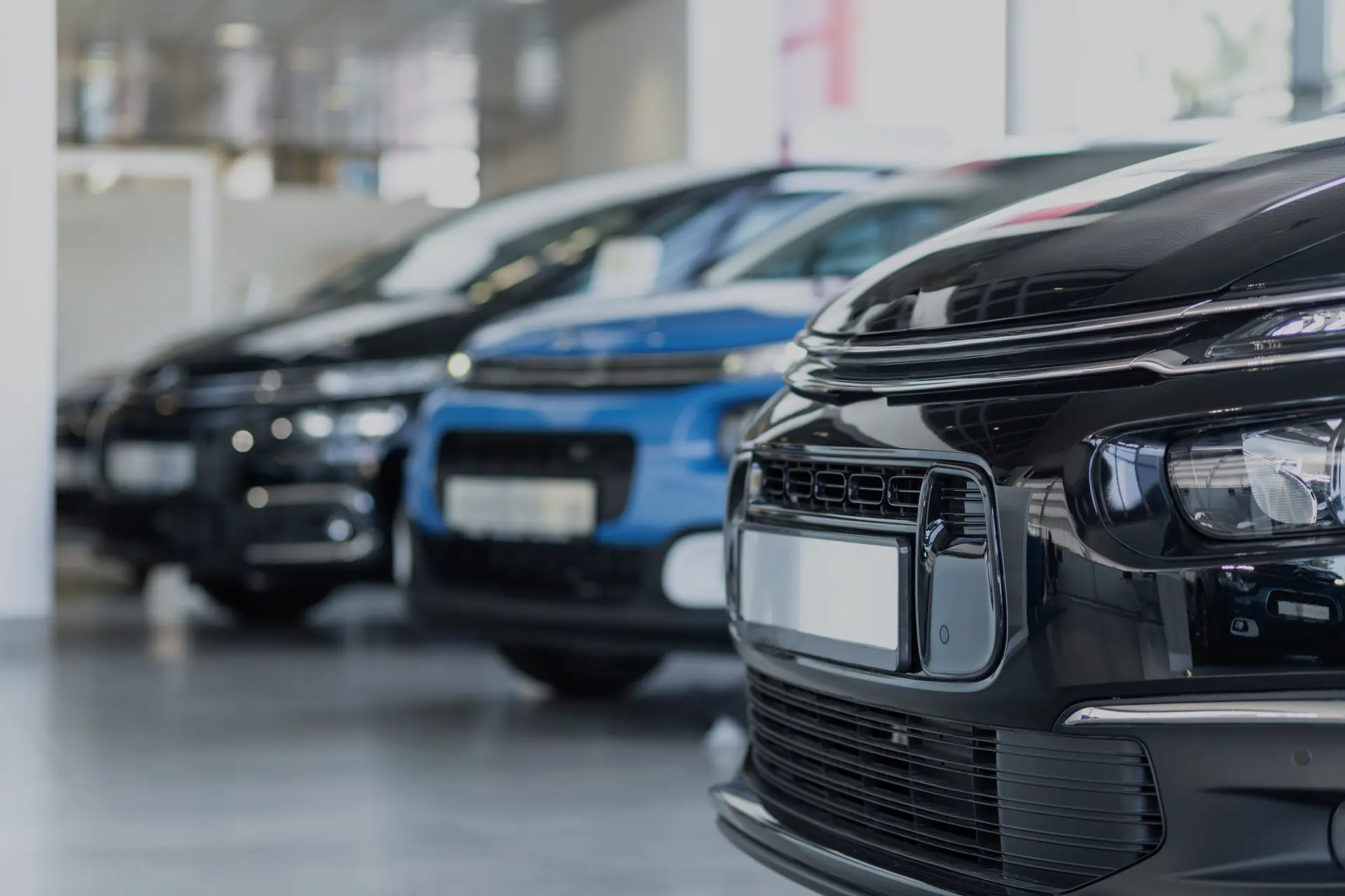 We Buy Vehicles