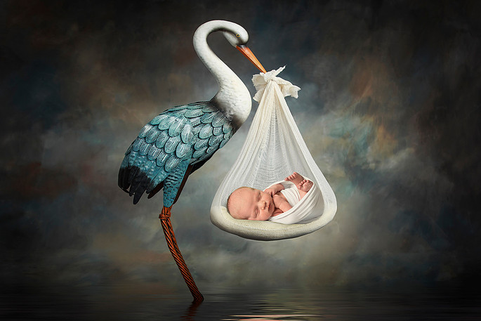 Amanda Pollock Photography