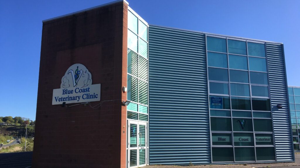 Blue Coast Veterinary Clinic