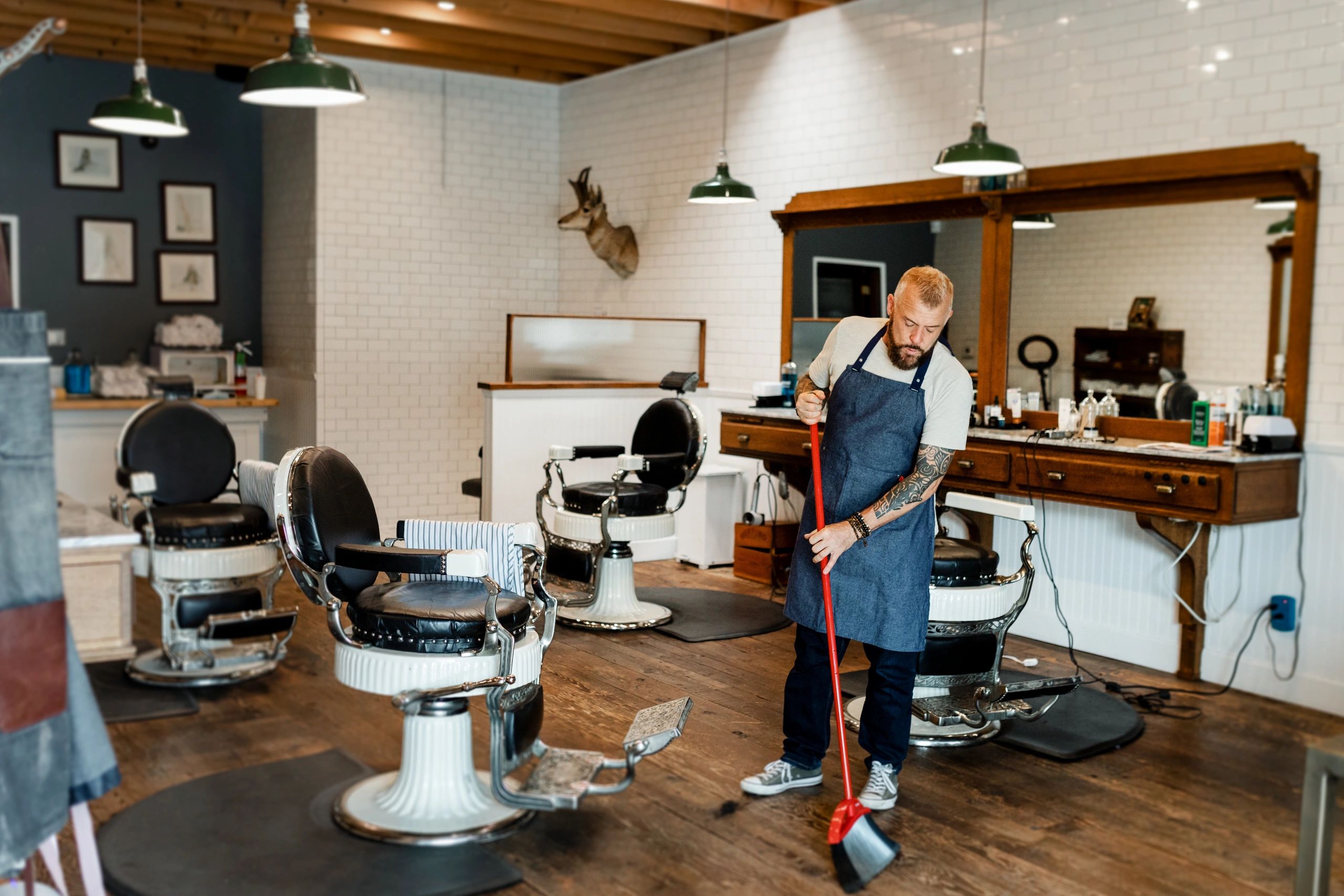 The Groomed Gorilla