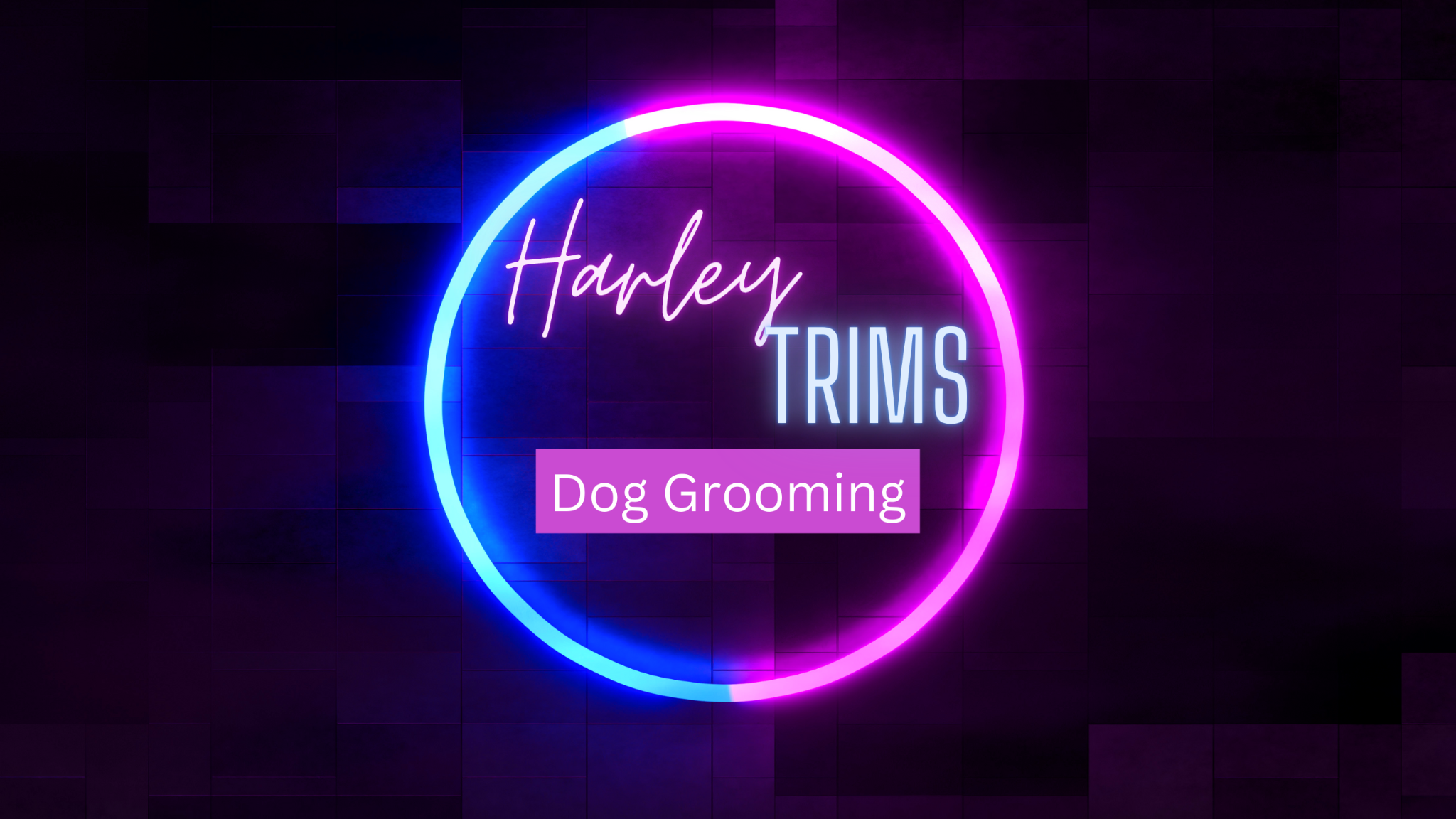 Harley Trims Dog Grooming