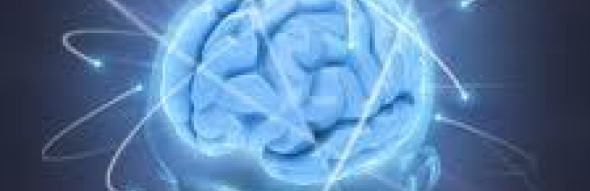 Forest Hills Physiotherapy Clinic
