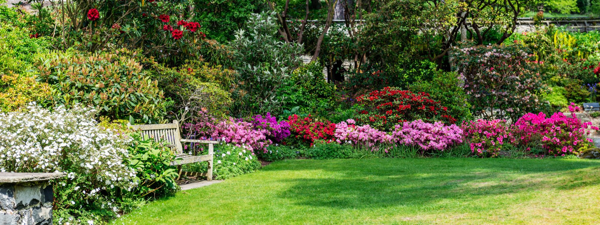 TGC - Tidy Garden Co