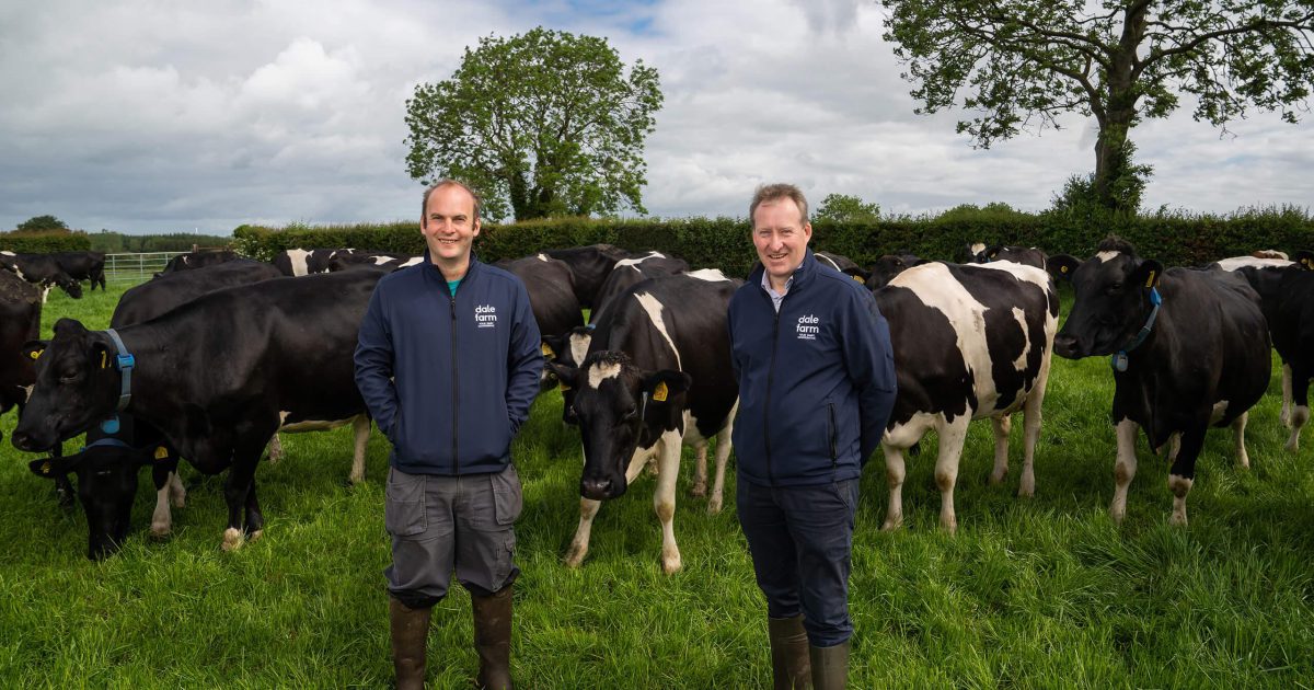 Dale Farm Ltd