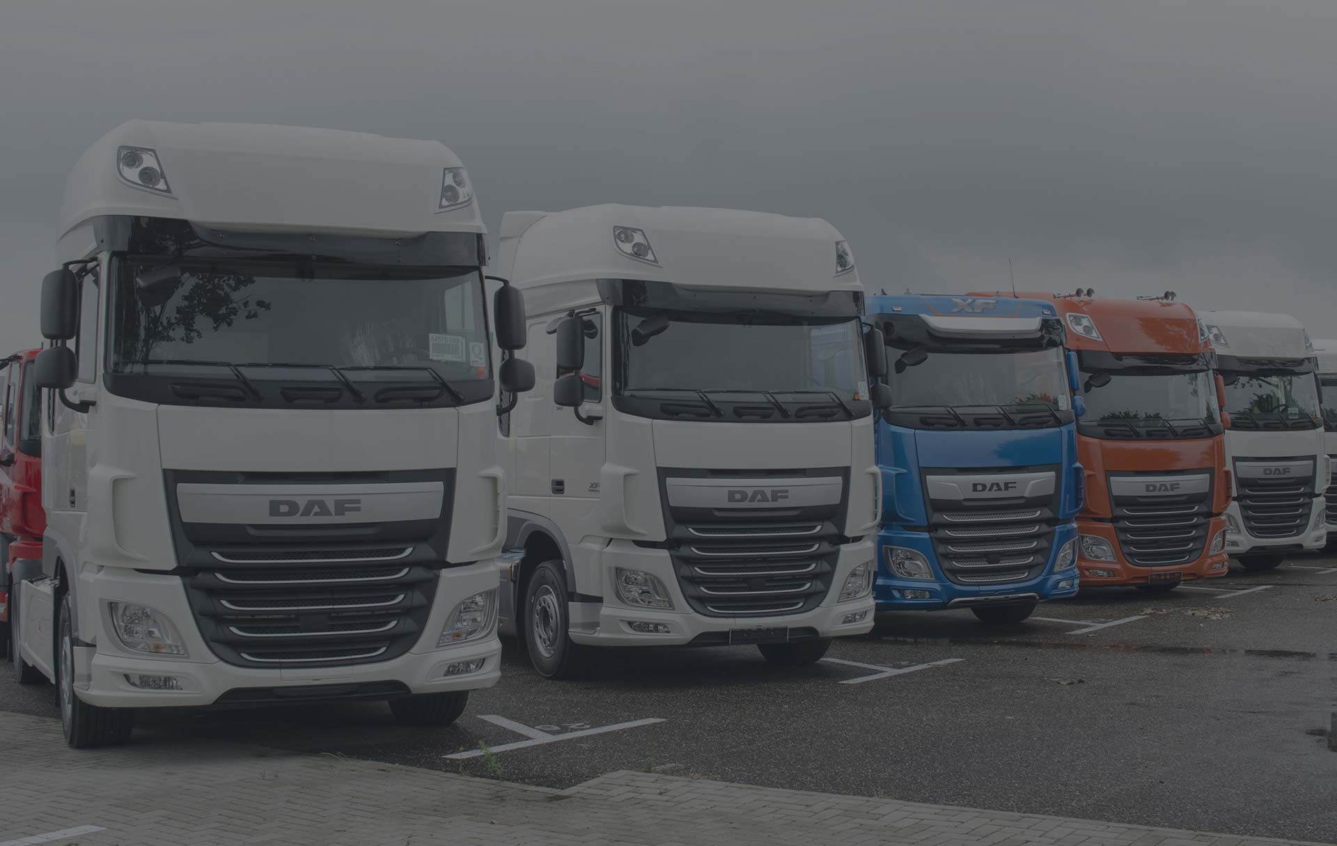 Martin Molloy Commercials Ltd