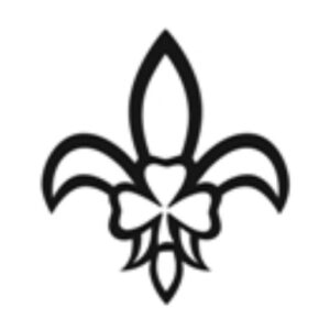 38/40th Cork Ballinlough Scout Group logo