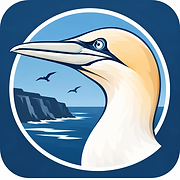 Greedy Gannet