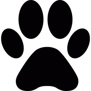 Healthy Pets Veterinary Clinic
