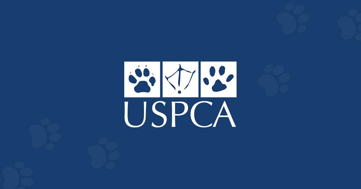 USPCA Charity Store