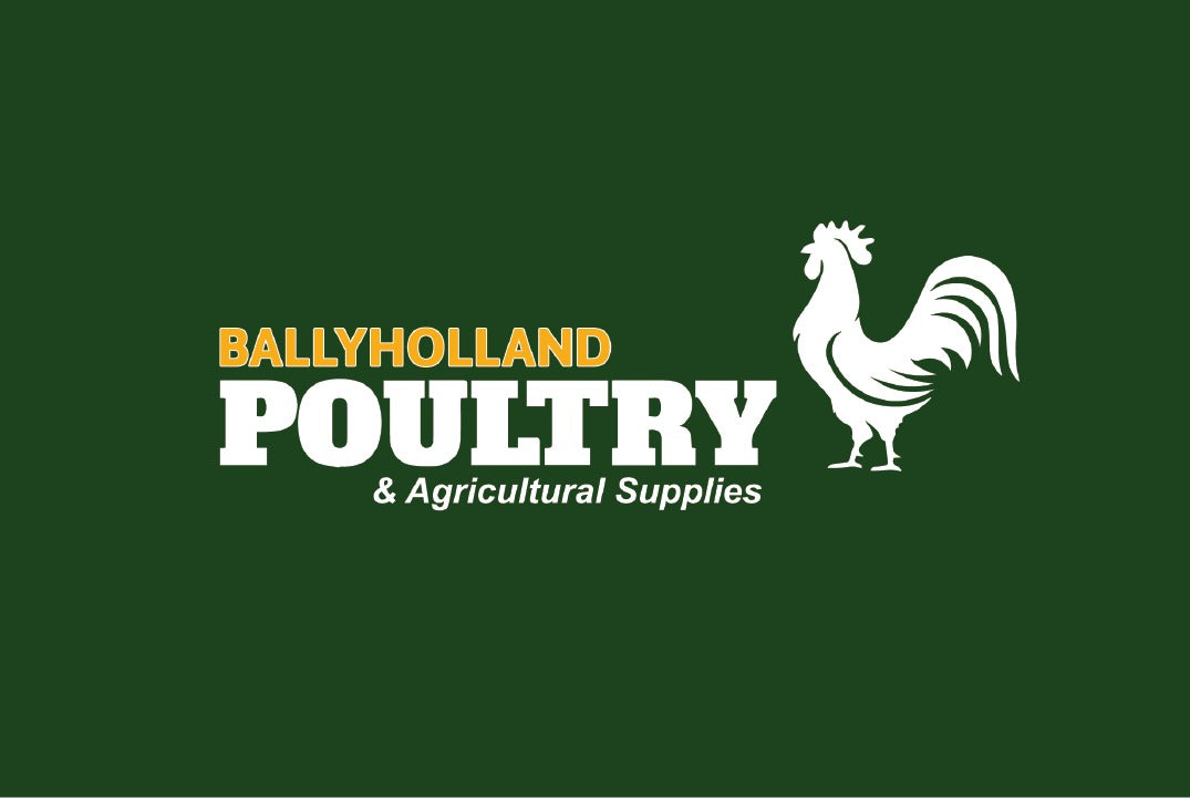 Ballyholland Poultry & Agricultural Supplies LTD