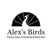 Alexs Birds