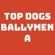 Top Dogs Ballymena
