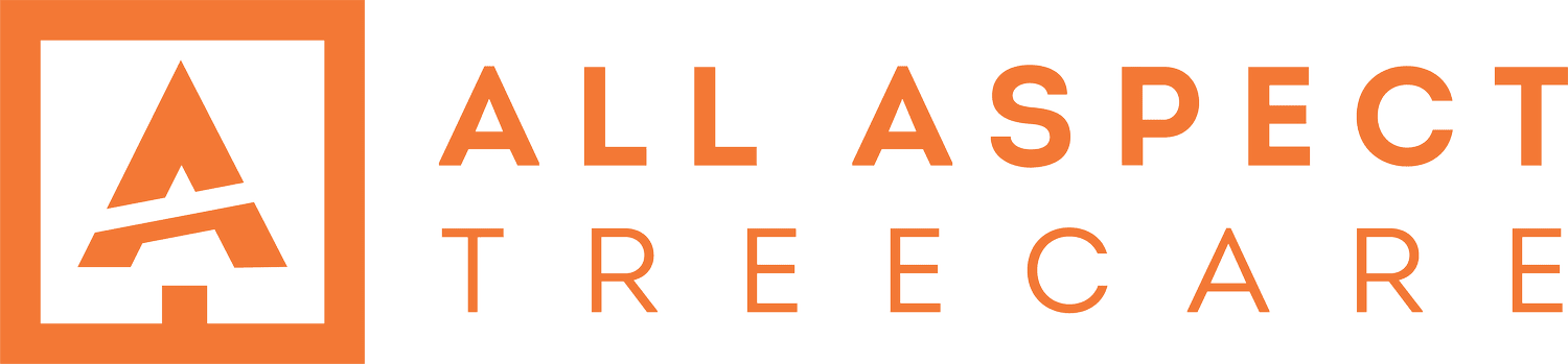All Aspect Tree Care