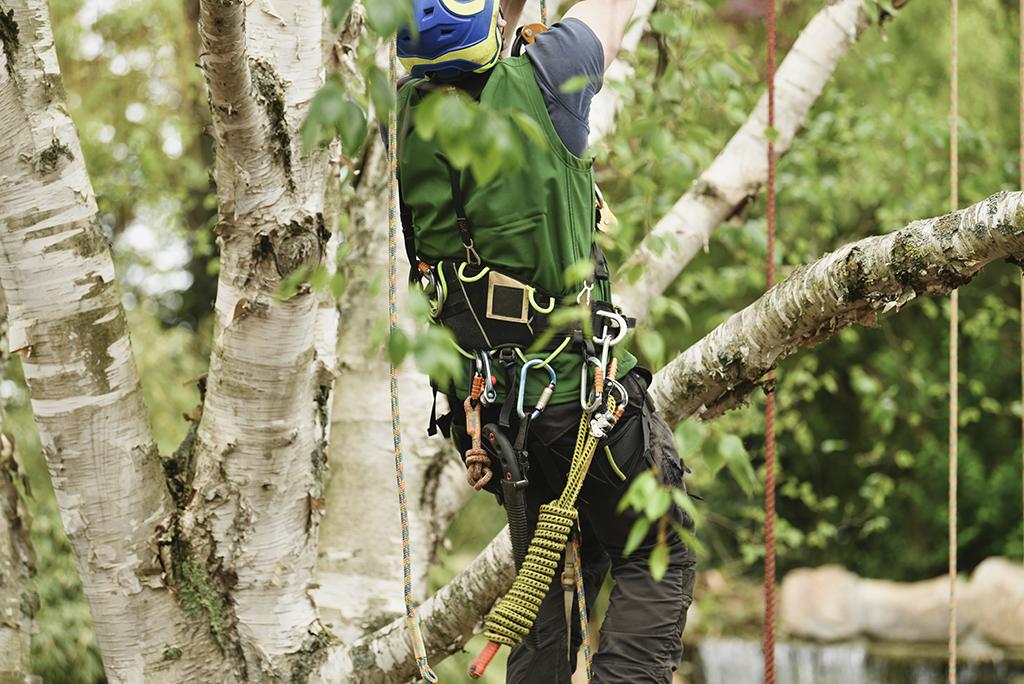 Muskerry Tree Care Ltd