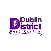 Dublin Pest Control- Low Cost