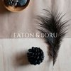 Eaton & Boru