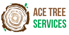 Ace Tree Services - Christy Murray