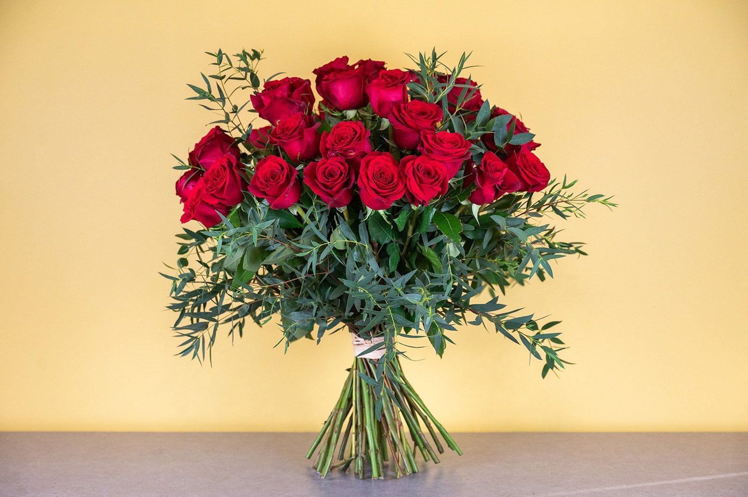 Flowers by Luis