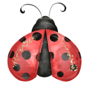 Ladybird Lane Childrens Day Nursery Ltd